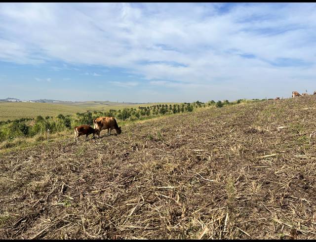 200,000M² VACANT LAND FOR SALE IN FAIRVIEW ESTATES